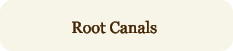 Root Canals